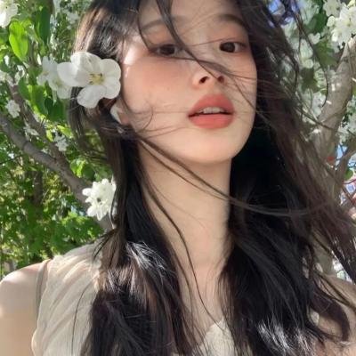 雏菊